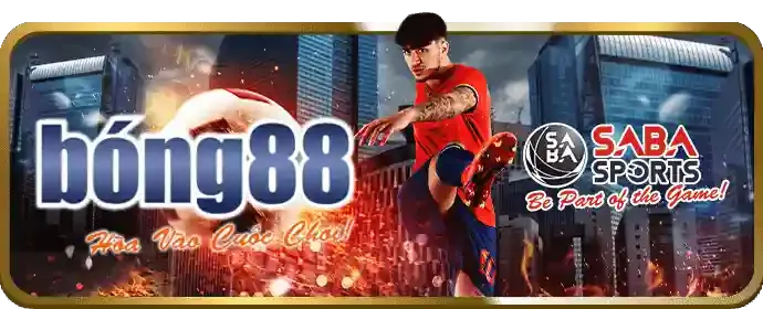 Slot Video